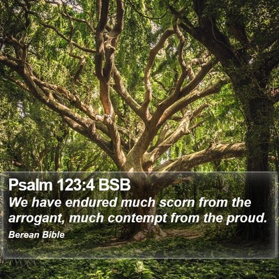 Psalm 123:4 BSB Bible Verse Image