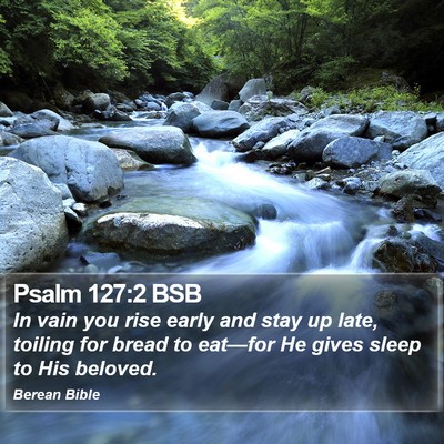 Psalm 127:2 BSB Bible Verse Image