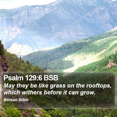 Psalm 129:6 BSB Bible Verse Image