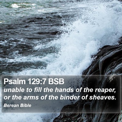 Psalm 129:7 BSB Bible Verse Image