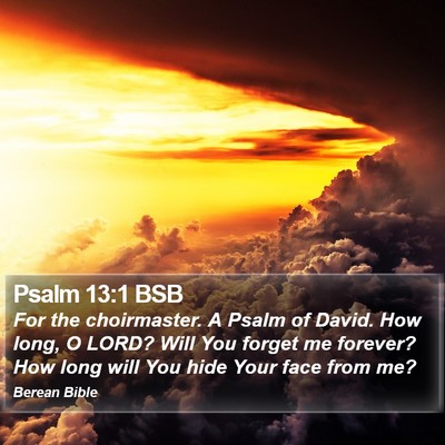 Psalm 13:1 BSB Bible Verse Image