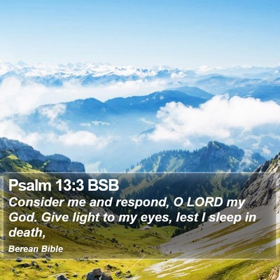 Psalm 13:3 BSB Bible Verse Image