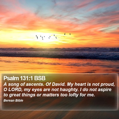Psalm 131:1 BSB Bible Verse Image