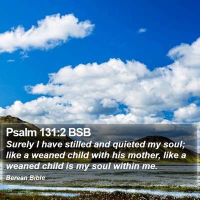 Psalm 131:2 BSB Bible Verse Image