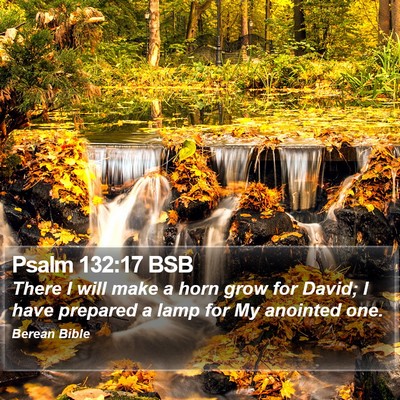 Psalm 132:17 BSB Bible Verse Image