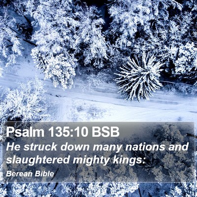 Psalm 135:10 BSB Bible Verse Image