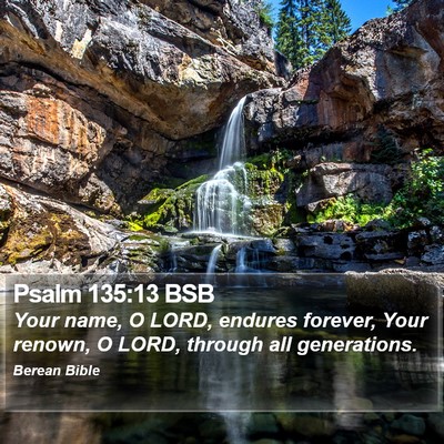 Psalm 135:13 BSB Bible Verse Image
