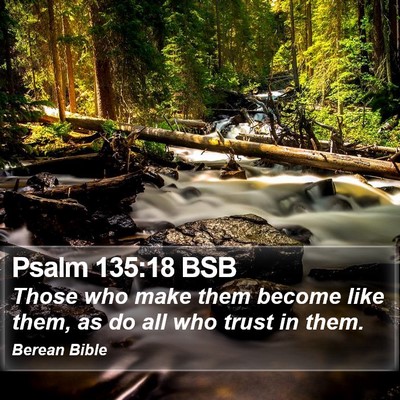 Psalm 135:18 BSB Bible Verse Image