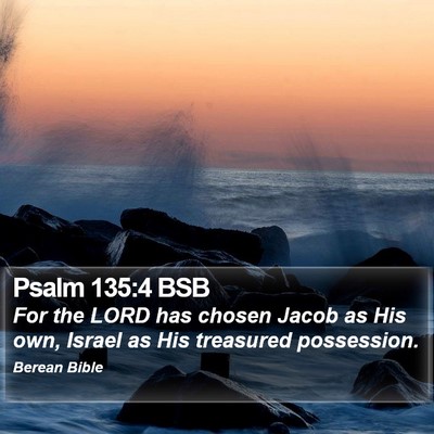 Psalm 135:4 BSB Bible Verse Image