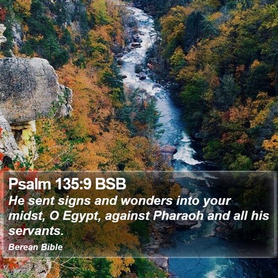 Psalm 135:9 BSB Bible Verse Image