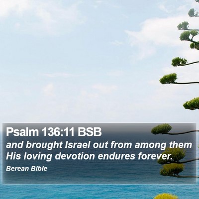 Psalm 136:11 BSB Bible Verse Image