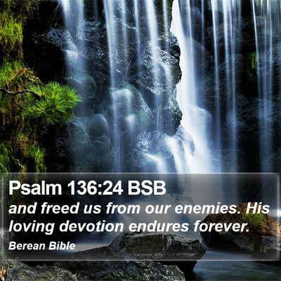 Psalm 136:24 BSB Bible Verse Image