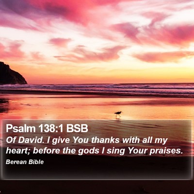 Psalm 138:1 BSB Bible Verse Image