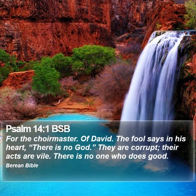 Psalm 14:1 BSB Bible Verse Image