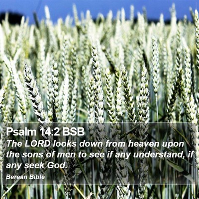 Psalm 14:2 BSB Bible Verse Image