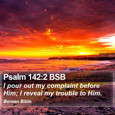 Psalm 142:2 BSB Bible Verse Image