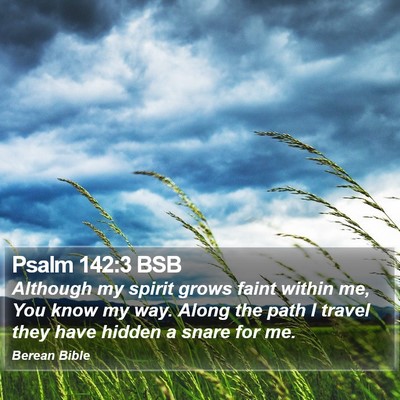 Psalm 142:3 BSB Bible Verse Image