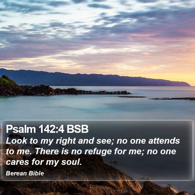 Psalm 142:4 BSB Bible Verse Image