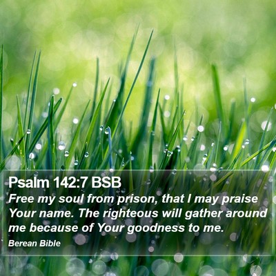 Psalm 142:7 BSB Bible Verse Image