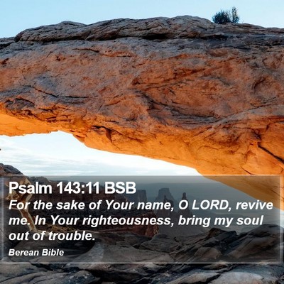 Psalm 143:11 BSB Bible Verse Image
