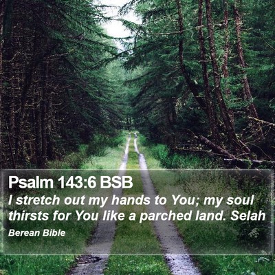 Psalm 143:6 BSB Bible Verse Image