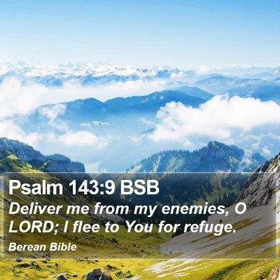 Psalm 143:9 BSB Bible Verse Image