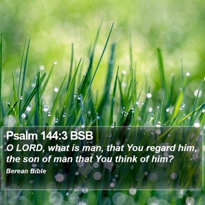 Psalm 144:3 BSB Bible Verse Image