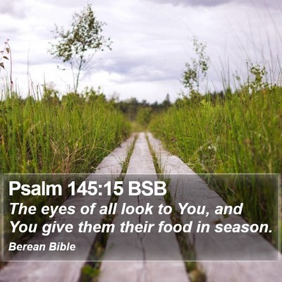 Psalm 145:15 BSB Bible Verse Image