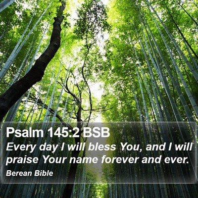 Psalm 145:2 BSB Bible Verse Image