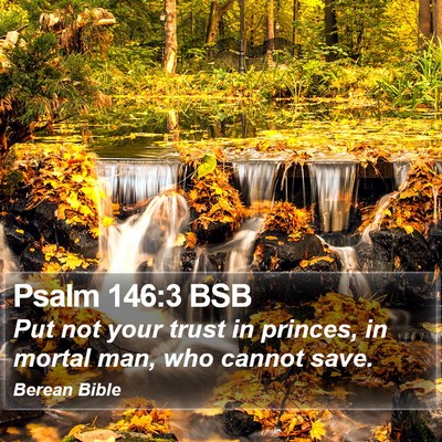 Psalm 146:3 BSB Bible Verse Image