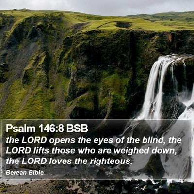 Psalm 146:8 BSB Bible Verse Image