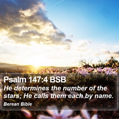 Psalm 147:4 BSB Bible Verse Image