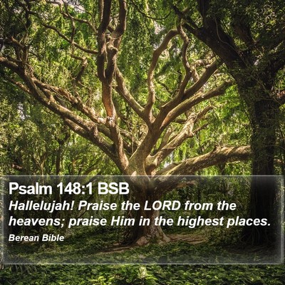 Psalm 148:1 BSB Bible Verse Image