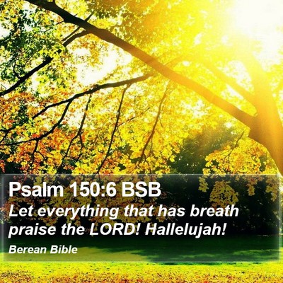 Psalm 150:6 BSB Bible Verse Image