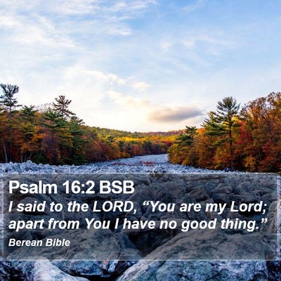 Psalm 16:2 BSB Bible Verse Image