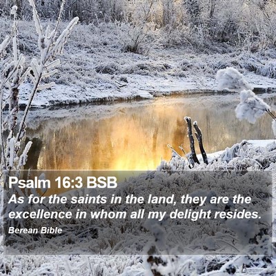Psalm 16:3 BSB Bible Verse Image