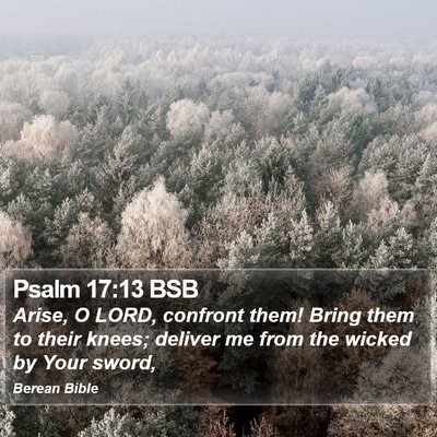 Psalm 17:13 BSB Bible Verse Image