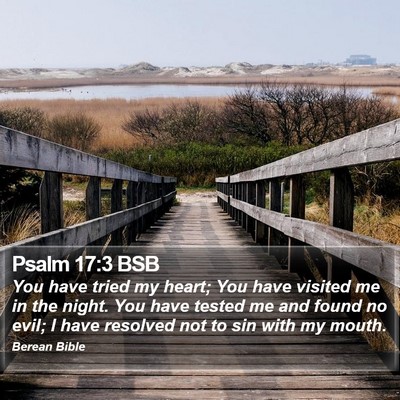 Psalm 17:3 BSB Bible Verse Image