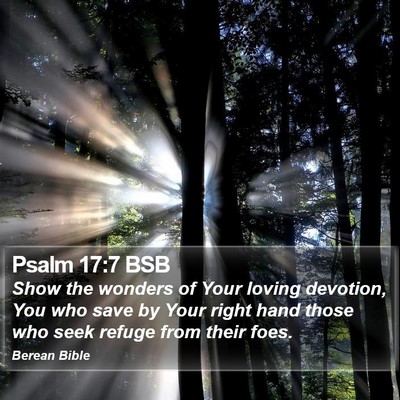 Psalm 17:7 BSB Bible Verse Image