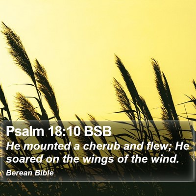Psalm 18:10 BSB Bible Verse Image