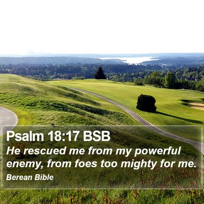 Psalm 18:17 BSB Bible Verse Image