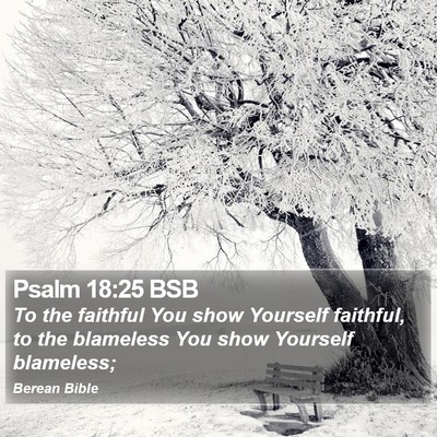 Psalm 18:25 BSB Bible Verse Image