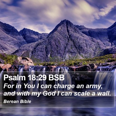Psalm 18:29 BSB Bible Verse Image