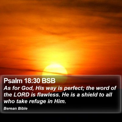 Psalm 18:30 BSB Bible Verse Image