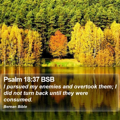 Psalm 18:37 BSB Bible Verse Image