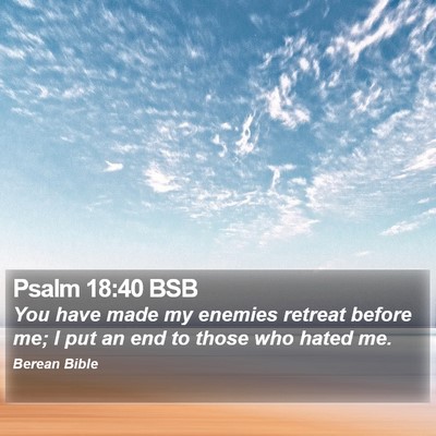 Psalm 18:40 BSB Bible Verse Image