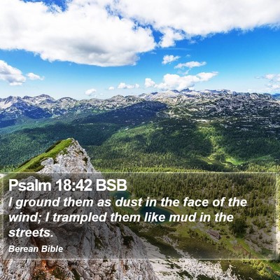 Psalm 18:42 BSB Bible Verse Image