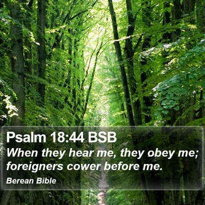 Psalm 18:44 BSB Bible Verse Image
