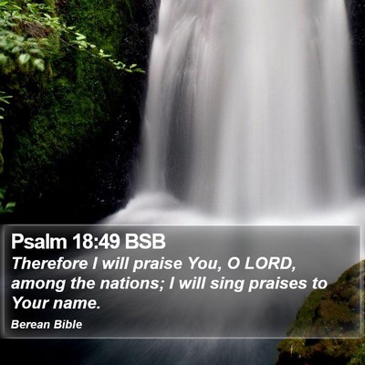 Psalm 18:49 BSB Bible Verse Image