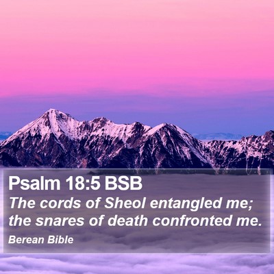 Psalm 18:5 BSB Bible Verse Image